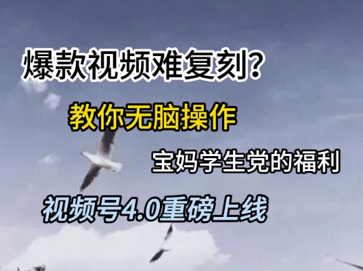 视频号4.0重磅上线，爆款视频难复刻？教你无脑操作宝妈学生党的福利-创奇社 - AI前沿·副业变现·资源教程！