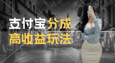 支付宝分成计划新玩法，利用交通事故视频，赚收益，轻松月入过W，操作简单-创奇社 - AI前沿·副业变现·资源教程！