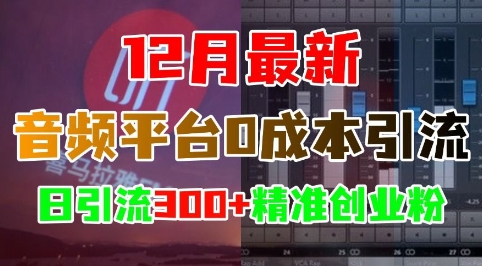 12月最新：音频平台0成本引流，日引流300+精准创业粉-创奇社 - AI前沿·副业变现·资源教程！