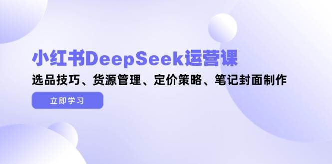 小红书DeepSeek运营课，选品技巧、货源管理、定价策略、笔记封面制作-创奇社 - AI前沿·副业变现·资源教程！