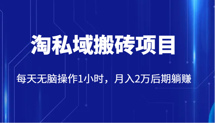 价值2980的淘私域搬砖项目，每天无脑操作1小时，月入2万后期躺赚-创奇社 - AI前沿·副业变现·资源教程！