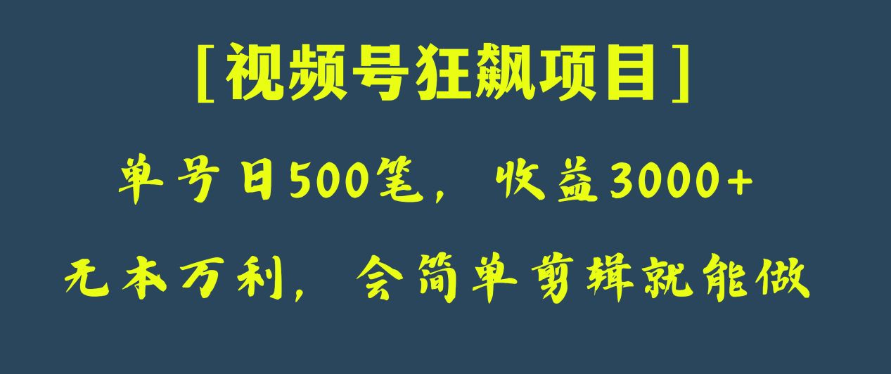 日收款500笔，纯利润3000+，视频号狂飙项目！-创奇社 - AI前沿·副业变现·资源教程！