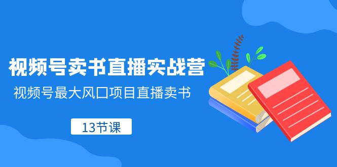 视频号卖书直播实战营，视频号最大风囗项目直播卖书（13节课）-创奇社 - AI前沿·副业变现·资源教程！