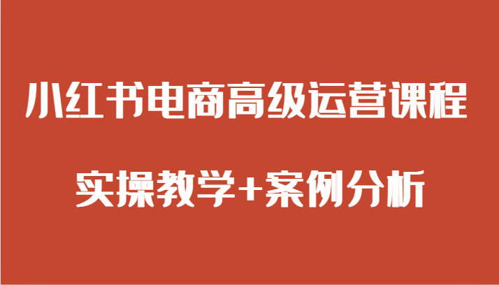 小红书电商高级运营课程 实操教学+案例分析-创奇社 - AI前沿·副业变现·资源教程！