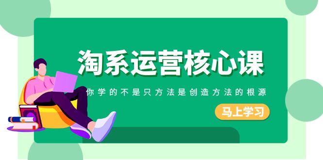 淘系运营核心课，你学的不只是方法而是创造方法的根源（190节课）-创奇社 - AI前沿·副业变现·资源教程！