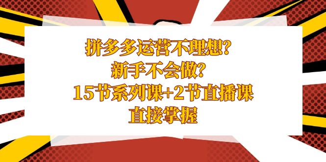 拼多多运营不理想？新手不会做？15节系列课+2节直播课学会直接掌握-创奇社 - AI前沿·副业变现·资源教程！