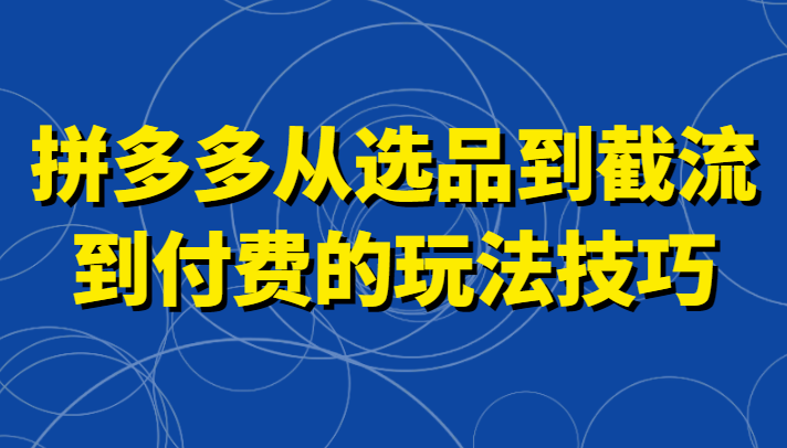 拼多多从选品到截流到付费的玩法技巧，助你掌握截流自然流量，高投产，强付费快速启动-创奇社 - AI前沿·副业变现·资源教程！