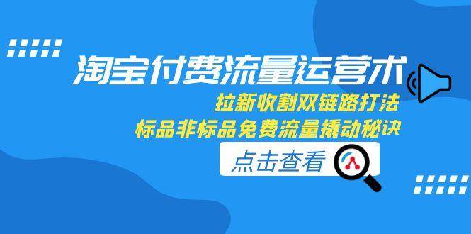 淘宝付费流量运营术，拉新收割双链路打法，标品非标品免费流量撬动秘诀-创奇社 - AI前沿·副业变现·资源教程！