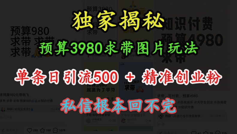预算3980求带 图片玩法，单条日引流500+精准创业粉，私信根本回不完-创奇社 - AI前沿·副业变现·资源教程！