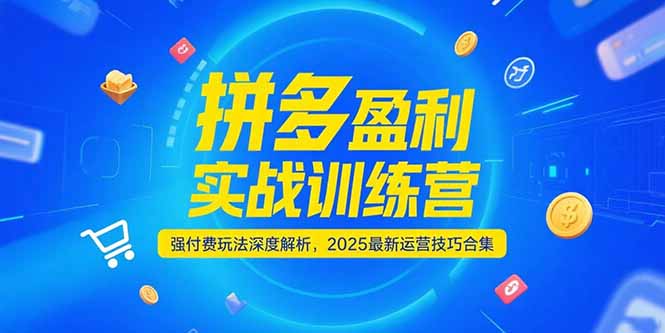 （15183期）拼多多盈利实战训练营，强付费玩法深度解析，2025运营技巧合集-更新6月-创奇社 - AI前沿·副业变现·资源教程！