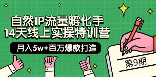 自然IP流量孵化手14天线上实操特训营【第9期】月入5w+百万爆款打造 (74节)-创奇社 - AI前沿·副业变现·资源教程！
