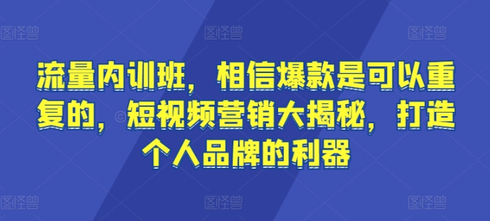 流量内训班，相信爆款是可以重复的，短视频营销大揭秘，打造个人品牌的利器-创奇社 - AI前沿·副业变现·资源教程！