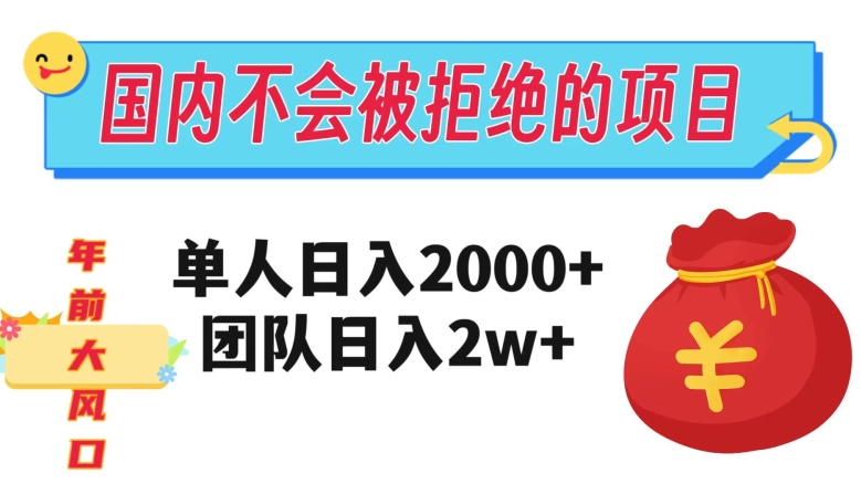 在国内不怕被拒绝的项目，单人日入2000，团队日入20000+【揭秘】-创奇社 - AI前沿·副业变现·资源教程！