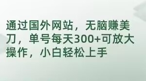 通過國外網站，無腦賺美刀，單号每天300+可放大操作，小白輕松上手【揭秘】