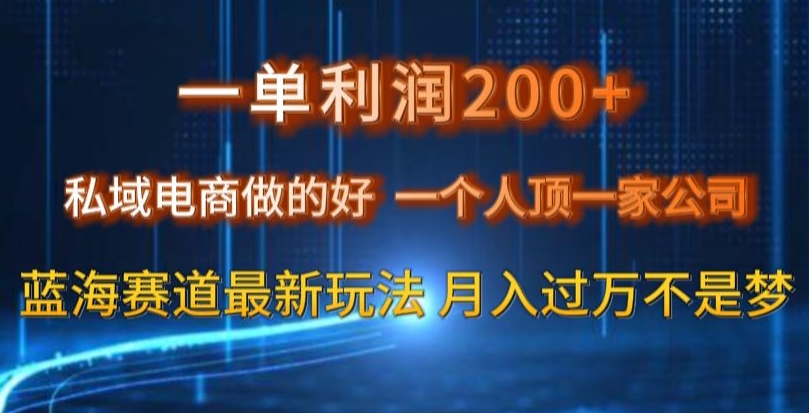 一单利润200私域电商做的好，一个人顶一家公司蓝海赛道最新玩法【揭秘】-创奇社 - AI前沿·副业变现·资源教程！