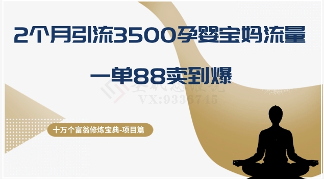 十万个富翁修炼宝典之13.2个月引流3500孕婴宝妈流量，一单88卖到爆-创奇社 - AI前沿·副业变现·资源教程！