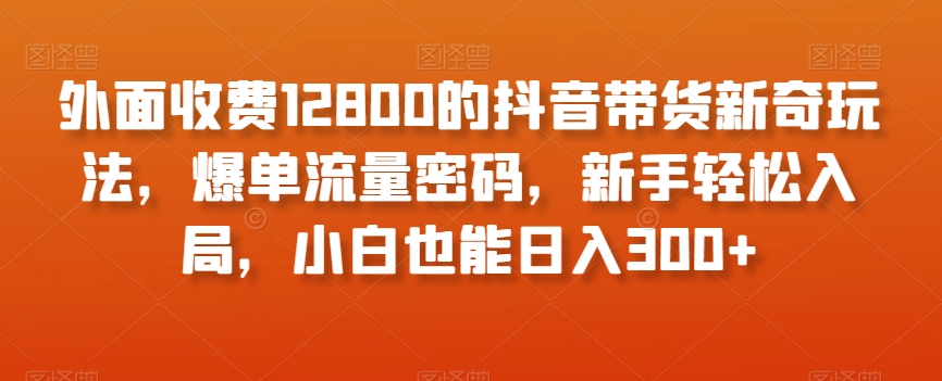 外面收费12800的抖音带货新奇玩法，爆单流量密码，新手轻松入局，小白也能日入300+【揭秘】-创奇社 - AI前沿·副业变现·资源教程！
