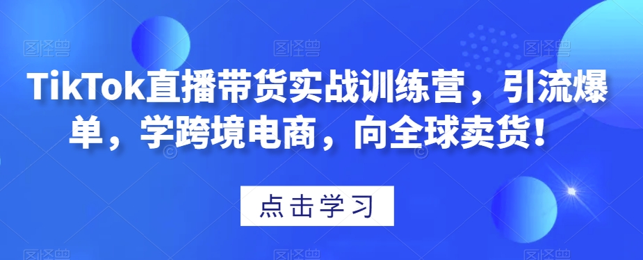 TikTok直播带货实战训练营，引流爆单，学跨境电商，向全球卖货！-创奇社 - AI前沿·副业变现·资源教程！