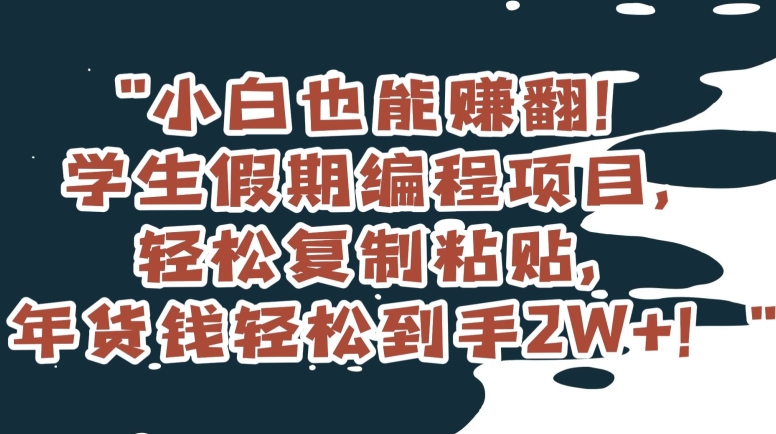 小白也能赚翻！学生假期编程项目，轻松复制粘贴，年货钱轻松到手2W+【揭秘】-创奇社 - AI前沿·副业变现·资源教程！