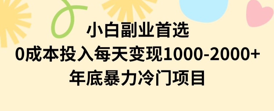小白副业首选，0成本投入，每天变现1000-2000年底暴力冷门项目【揭秘】-创奇社 - AI前沿·副业变现·资源教程！