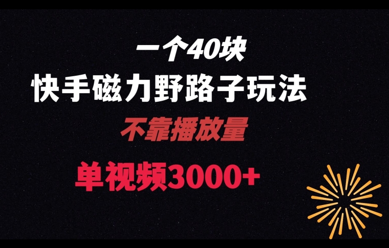 一个40块，快手联合美团磁力新玩法，无视机制野路子玩法，单视频收益4位数【揭秘】-创奇社 - AI前沿·副业变现·资源教程！