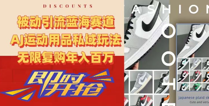 被动引流蓝海赛道，AJ运动用品私域玩法，无限复购年入百万-创奇社 - AI前沿·副业变现·资源教程！
