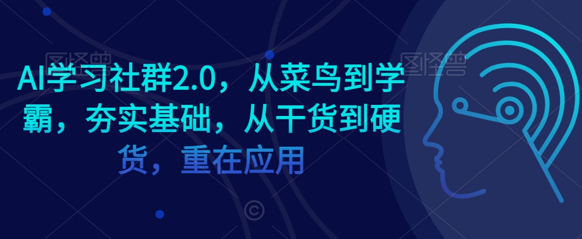 AI学习社群2.0，从菜鸟到学霸，夯实基础，从干货到硬货，重在应用-创奇社 - AI前沿·副业变现·资源教程！