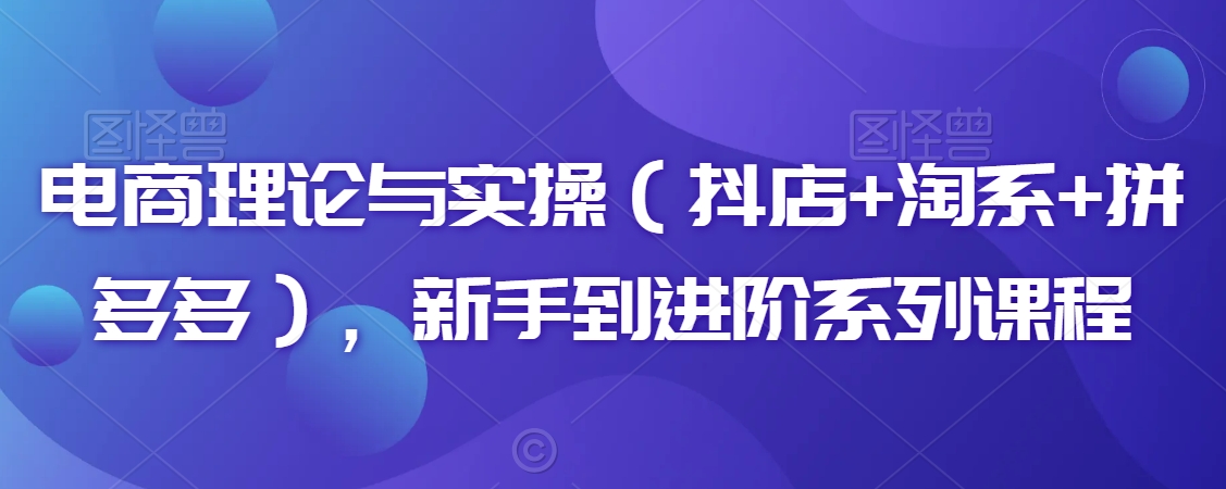 电商理论与实操（抖店+淘系+拼多多），新手到进阶系列课程-创奇社 - AI前沿·副业变现·资源教程！