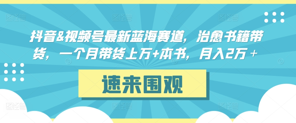 抖音&视频号最新蓝海赛道，治愈书籍带货，一个月带货上万+本书，月入2万＋-创奇社 - AI前沿·副业变现·资源教程！