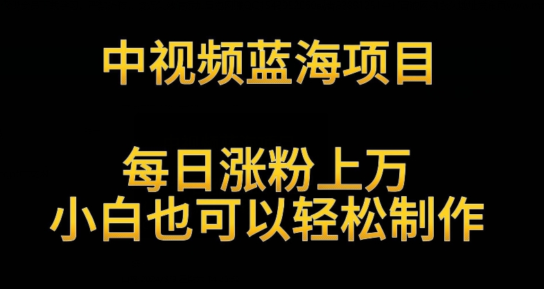 中视频蓝海项目，解读英雄人物生平，每日涨粉上万，小白也可以轻松制作，月入过万不是梦-创奇社 - AI前沿·副业变现·资源教程！
