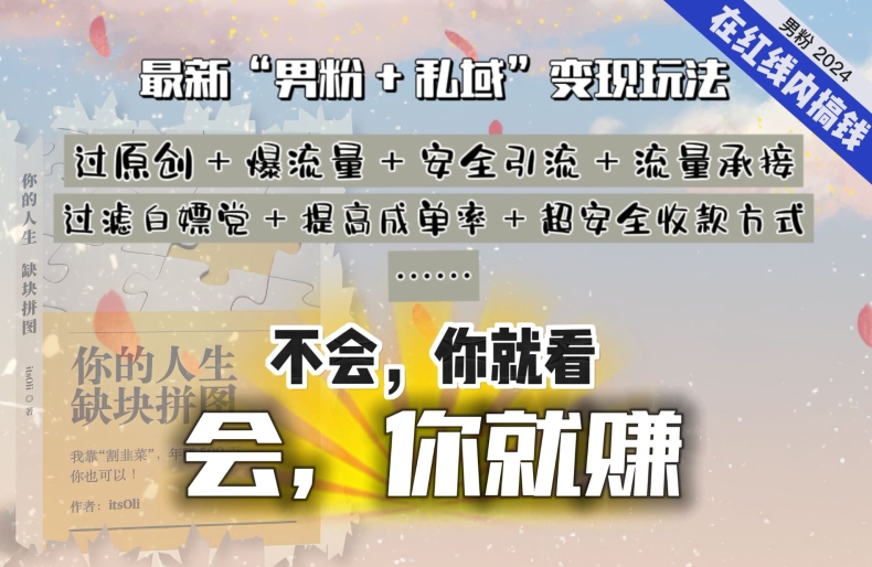 2024，“男粉+私域”还是最耐造、最赚、最轻松、最愉快的变现方式-创奇社 - AI前沿·副业变现·资源教程！