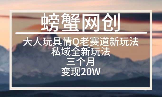 大人玩具情Q用品赛道私域全新玩法，三个月变现20W，老项目新思路-创奇社 - AI前沿·副业变现·资源教程！