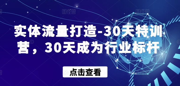 实体流量打造-30天特训营，30天成为行业标杆-创奇社 - AI前沿·副业变现·资源教程！