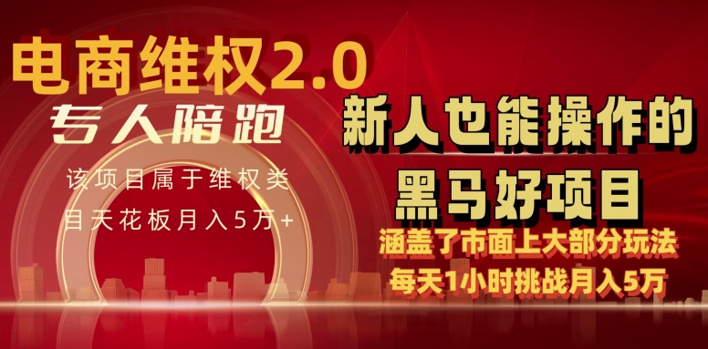 电商维权 4.0 如何做到月入 5 万+每天 1 小时新人也能快速上手【仅揭秘】-创奇社 - AI前沿·副业变现·资源教程！