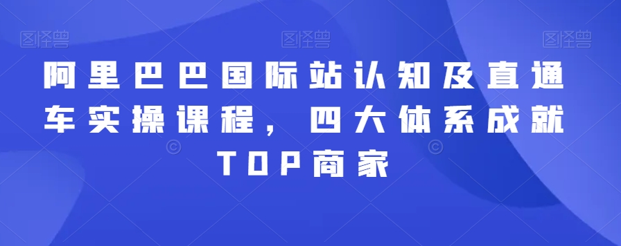 阿里巴巴国际站认知及直通车实操课程，四大体系成就TOP商家-创奇社 - AI前沿·副业变现·资源教程！