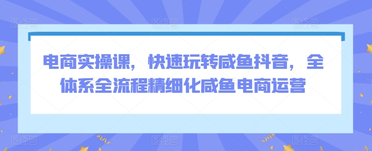 电商实操课，快速玩转咸鱼抖音，全体系全流程精细化咸鱼电商运营-创奇社 - AI前沿·副业变现·资源教程！