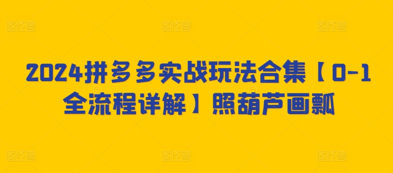 2024拼多多实战玩法合集【0-1全流程详解】照葫芦画瓢-创奇社 - AI前沿·副业变现·资源教程！