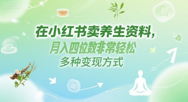 在小红书卖养生资料，月入四位数非常轻松，多种变现方式-创奇社 - AI前沿·副业变现·资源教程！