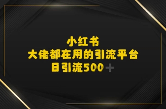 小红书，大佬都在用的大粉平台，日引流500+-创奇社 - AI前沿·副业变现·资源教程！
