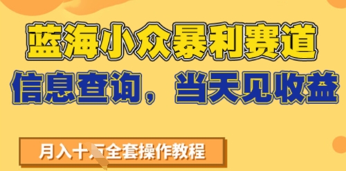 蓝海小众暴利赛道，信息查询，当天见收益，不讲玄学，7天搞了2W+-创奇社 - AI前沿·副业变现·资源教程！