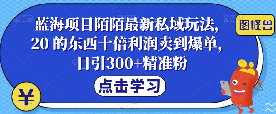 蓝海项目陌陌最新私域玩法，20 的东西十倍利润卖到爆单，日引300+精准粉【揭秘】-创奇社 - AI前沿·副业变现·资源教程！