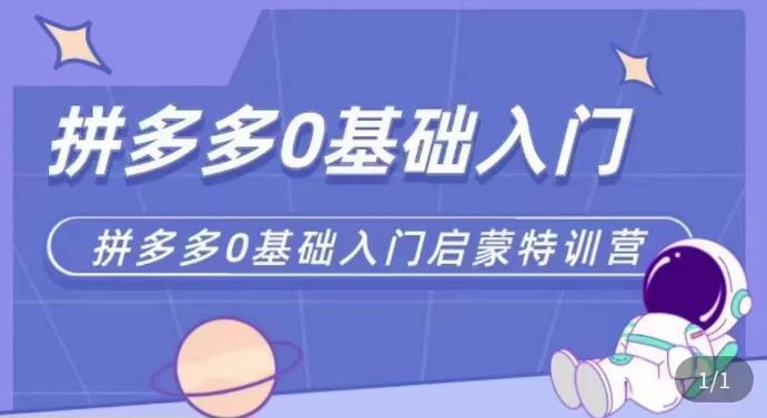 拼多多运营0-1实操特训营，拼多多0基础入门，从基础到进阶的可实操玩法-创奇社 - AI前沿·副业变现·资源教程！