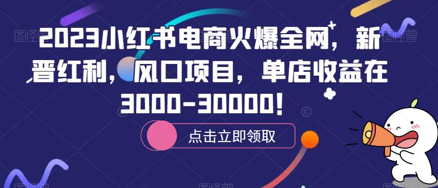 2023小红书电商火爆全网，新晋红利，风口项目，单店收益在3000-30000！-创奇社 - AI前沿·副业变现·资源教程！