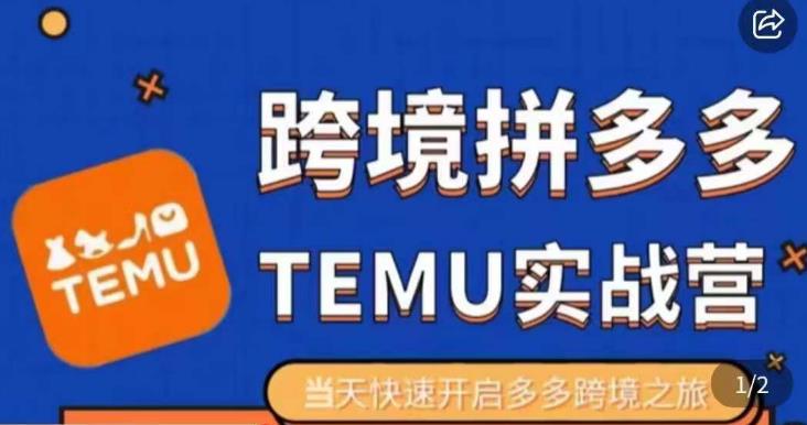 大鹏出海·拼多多跨境temu运营指导，开店注册+选品+核价上架，日出千单实战课-创奇社 - AI前沿·副业变现·资源教程！