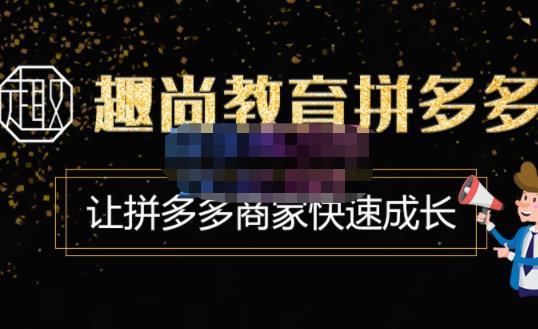 趣尚教育·拼多多运营实操VIP特训营，让拼多多商家快速成长-价值3180元-创奇社 - AI前沿·副业变现·资源教程！