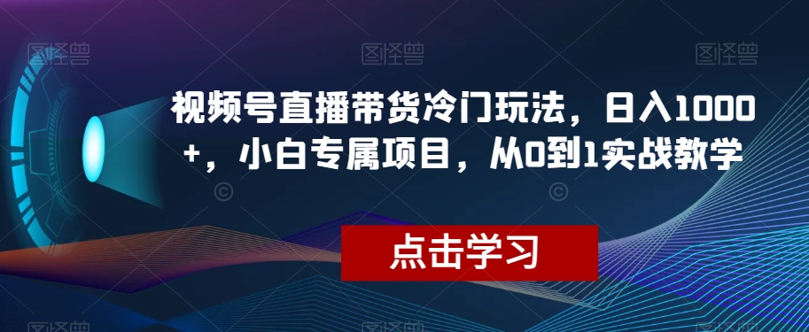 视频号直播带货冷门玩法，日入1000+，小白专属项目，从0到1实战教学【揭秘】-创奇社 - AI前沿·副业变现·资源教程！