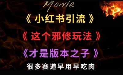 最近小红书引流这个邪修玩法才是版本之子，很多赛道早用早吃肉-创奇社 - AI前沿·副业变现·资源教程！