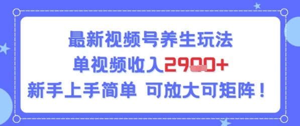 视频号养生玩法，单视频收入2.9k，新手上手简单-创奇社 - AI前沿·副业变现·资源教程！