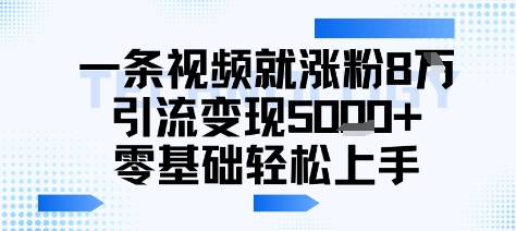 一条视频就涨粉8W引流变现5k+，0基础项目轻松上手